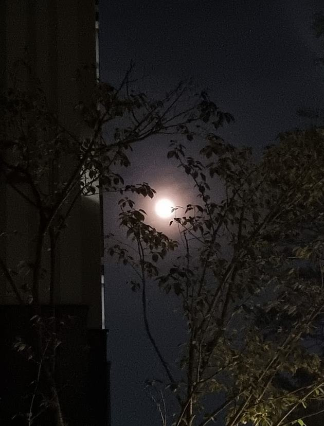 7월 보름달 buck moon 벅문 뜻 관측하기