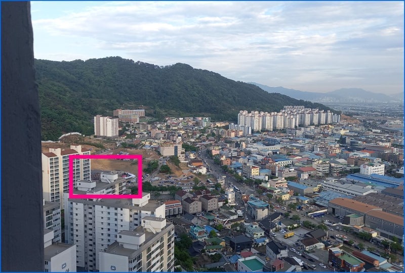 탁구왕 핑크퐁 집에서 내려다...
