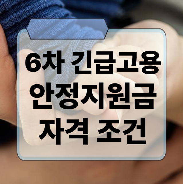 6차 긴급고용안정지원금 꼭 ...