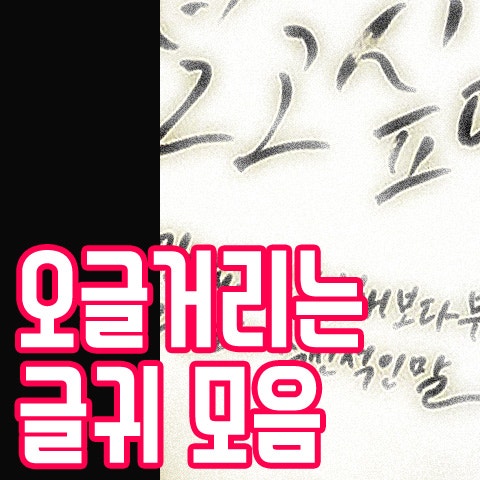 손발이다 오글거리는 글귀들