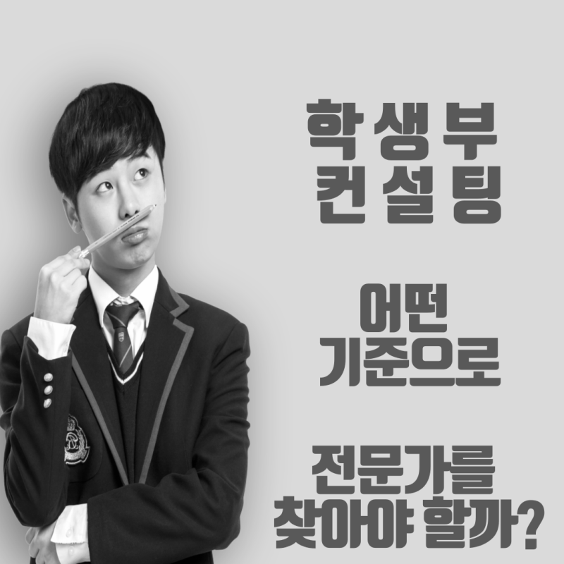 학생부 컨설팅, 어떤 기준으로 전문가를 찾아야 할까?(하지민교육연구소 학생부 컨설팅 비교)