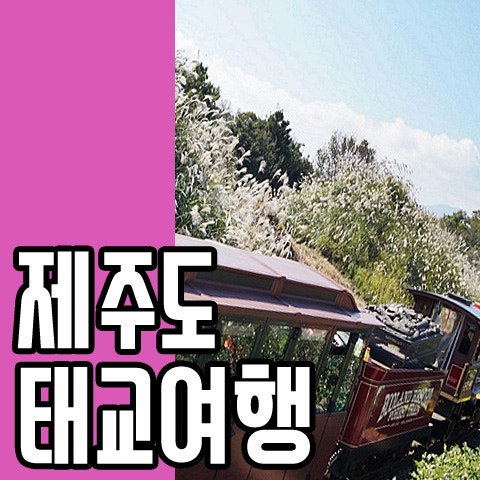 제주도 태교 여행코스 추천 여기 어떠세요?