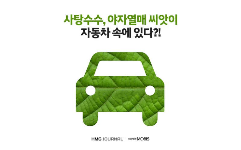 [현대모비스] 사탕수수로 자...