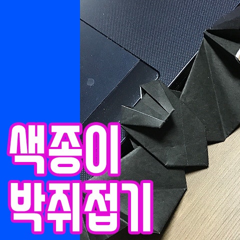 싱크로율 100% 쉽게 박쥐접기