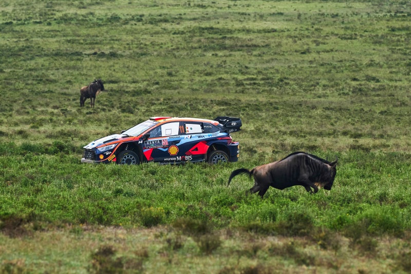 [2023 WRC 7R] 현대 월드랠리팀, 야생의 서바이벌 케냐 사파리 랠리에서 고군분투