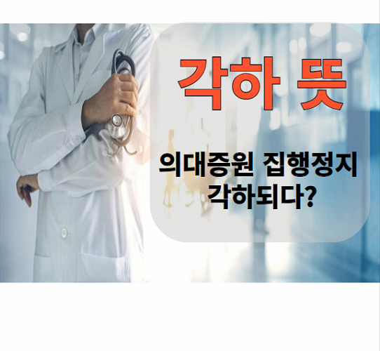 각하 뜻 정확하게 알고 보고...