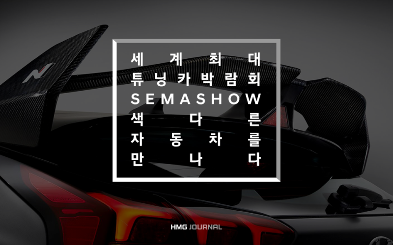 [현대기아] 세계 최대 튜닝...