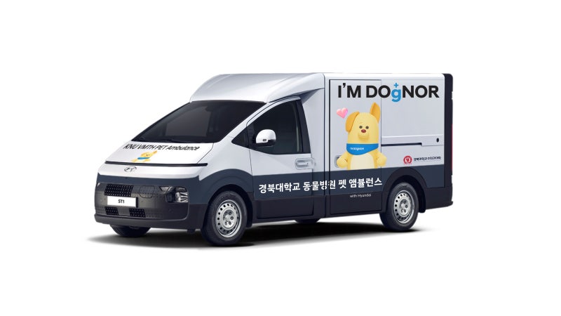 현대차 아임도그너 캠페인이 바꾸는 반려동물 세상